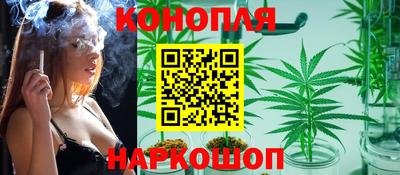 Альфа ПВП Ставрополь