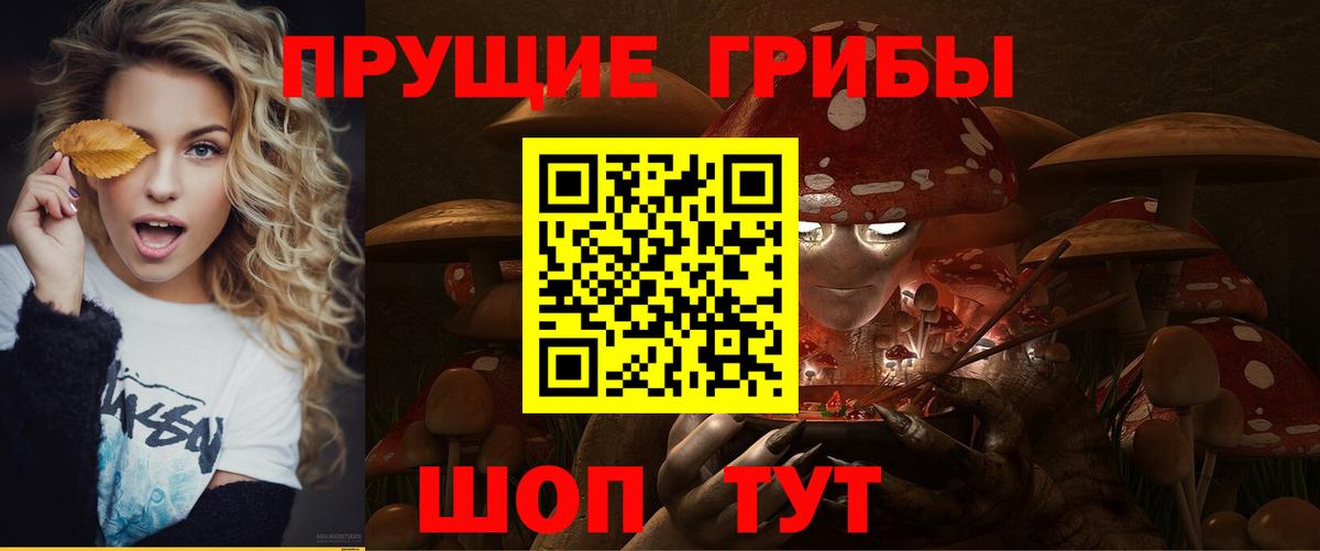 Октябрьский  Псилоцибиновые грибы Psilocybe  Вход с VPN 