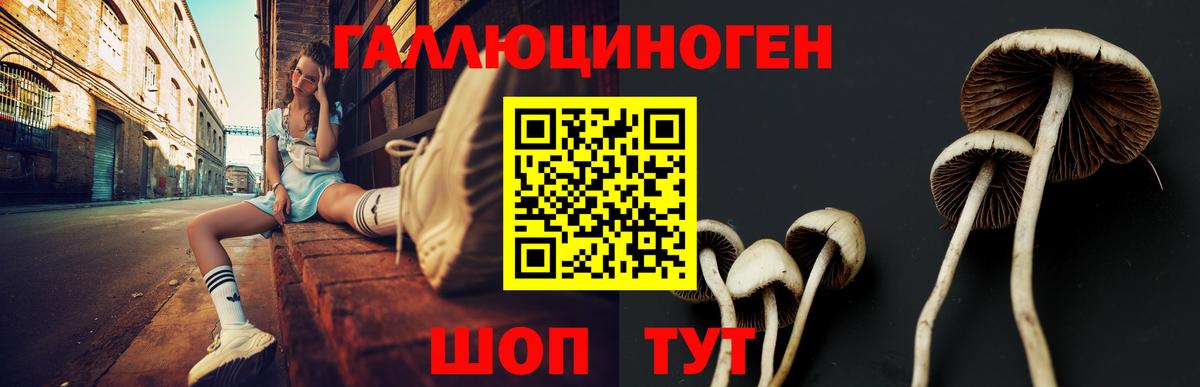Галлюциногенные грибы MAGIC MUSHROOMS Октябрьский